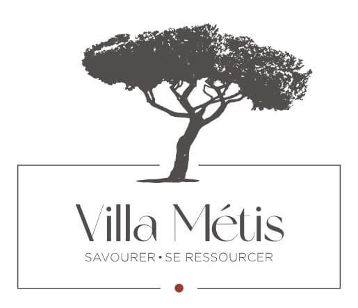 agence-z-and-ko-client-site-web-villa-metis (2)