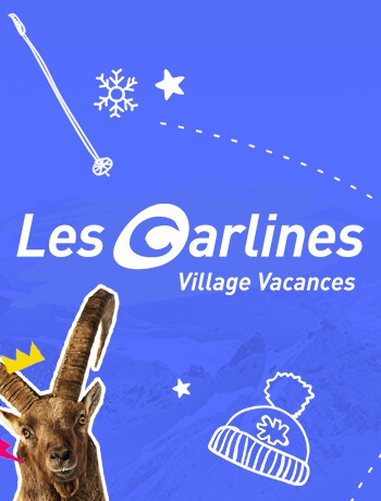 agence-z-and-ko-clients-site-web-carlines (1)