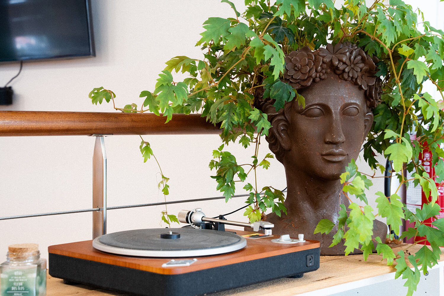 Photo du pot de fleur "tête" avec plante verte